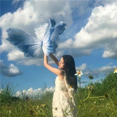 暗芝居第十三季