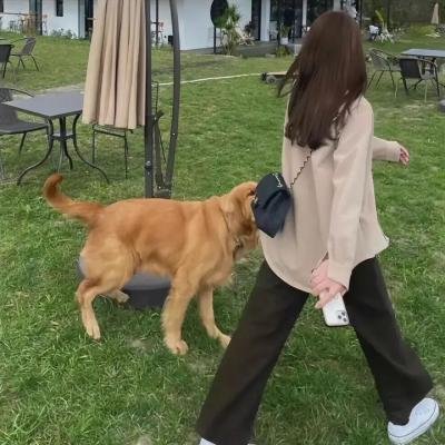 两个世界